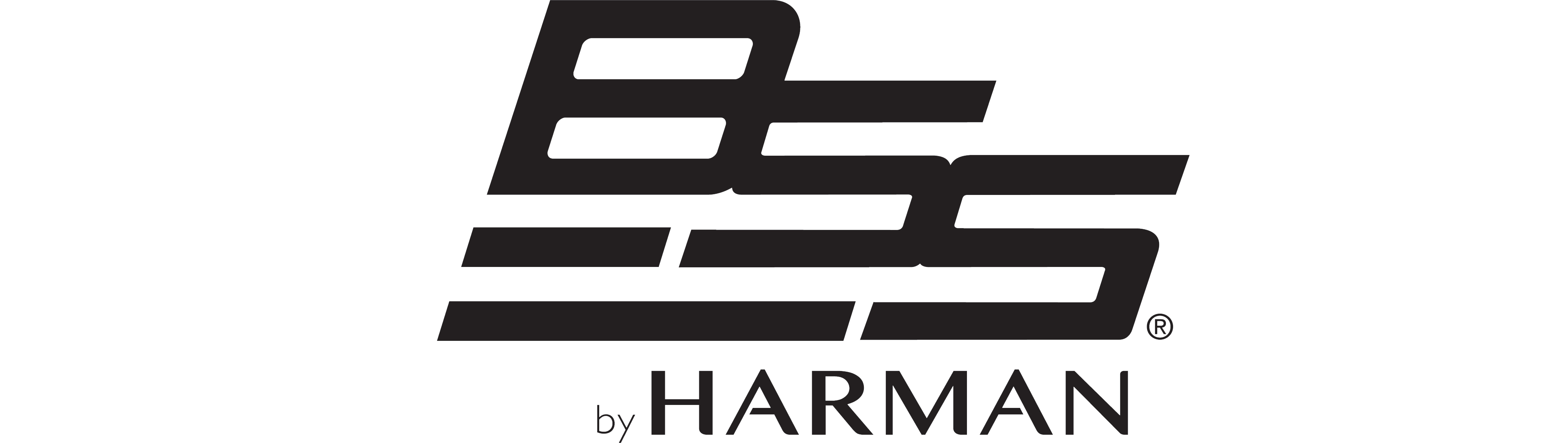 BSSLogo1